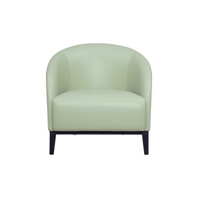 Ghế armchair PDSG AC-66
