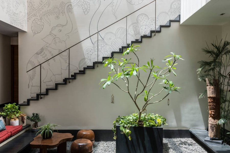 Những nguyên tắc chọn cây xanh trong nhà